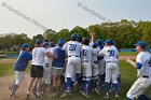 Baseball vs Babson  Wheaton College Baseball players celebrate their victory over Babson to win the NEWMAC Championship for the third year in a row. - (Photo by Keith Nordstrom) : Wheaton, baseball, NEWMAC